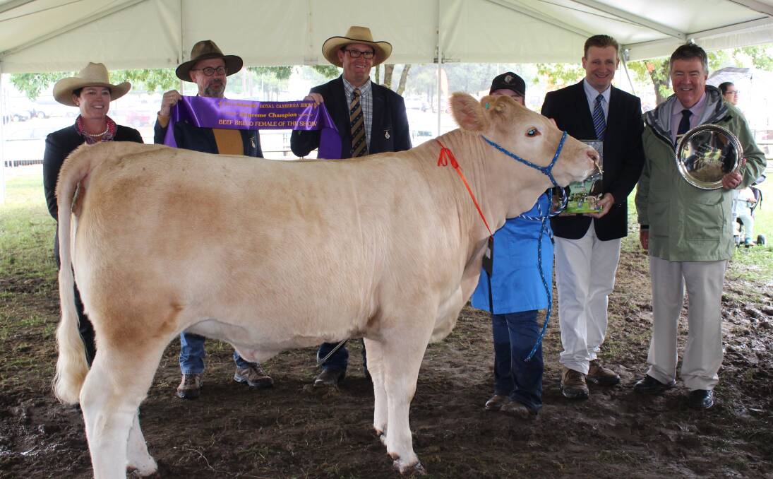 A WINNING TEAM: The paraders and top exhibits from the Tumut High School celebrate success at the Royal Canberra Show. Picture: Supplied
