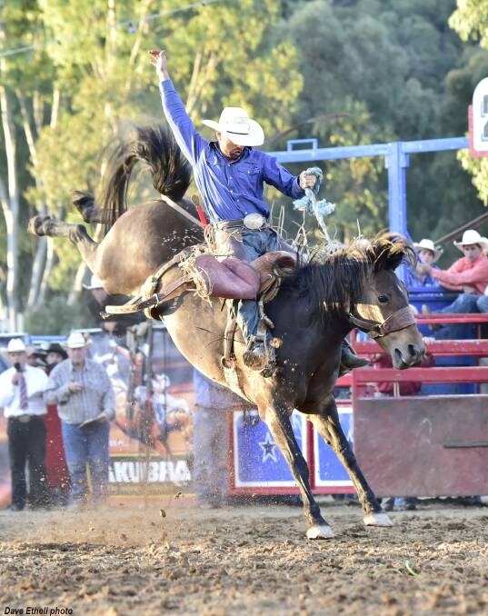 FINE FORM: Tooma cowboy Brad Pierce rides top bucking horse Texas Lil owned by John Gill and Sons of The Rock. Picture: Dave Ethell