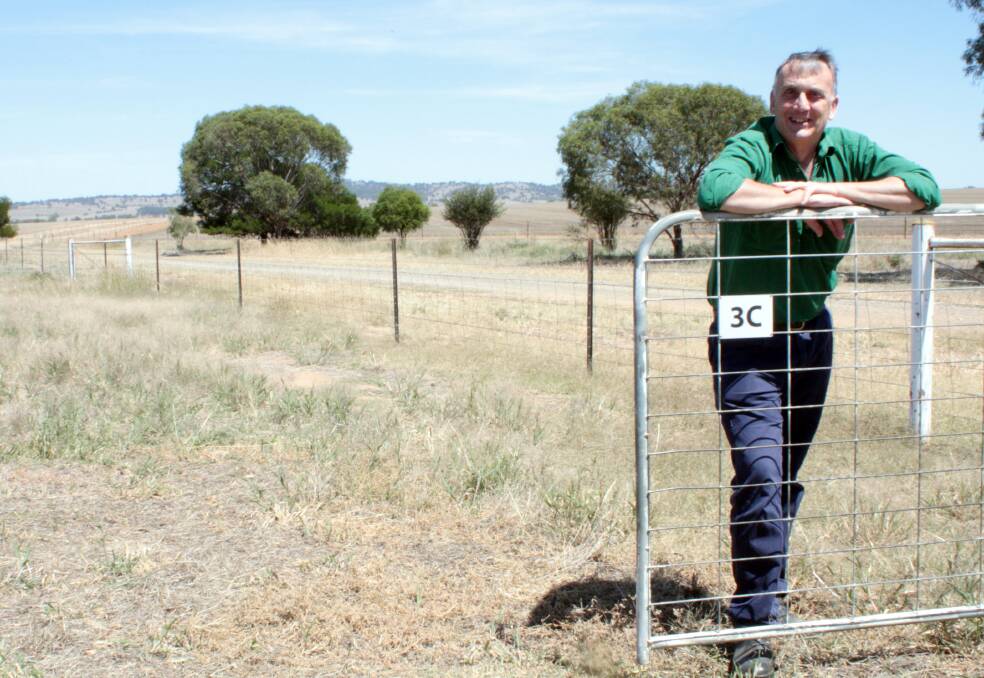 EYE ON WEEDS: NSW Department of Primary Industries research leader for pastures, Nigel Phillips of Wagga says correct weed identification is essential. 