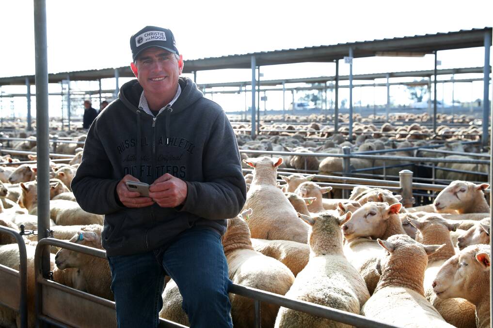 AT THE MARKET: Buyer, Brendan Halden is pictured at Wagga sheep and lamb sale. Picture: Emma Hillier