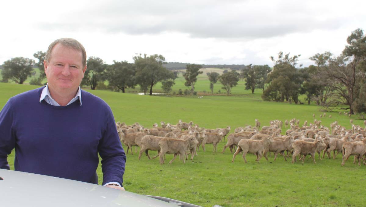 INDUSTRY COMMITMENT: Paul Cocking of Mangoplah in southern NSW plans to continue to advocate for the wool industry. Picture: Nikki Reynolds 