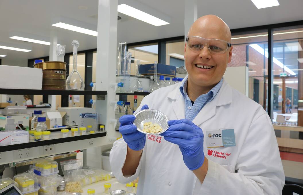 MORE PULSE OPTIONS: Charles Sturt University (CSU) PhD candidate Stephen Cork is working with the Australian Research Council (ARC) Industrial Transformation Training Centre for Functional Grains. 