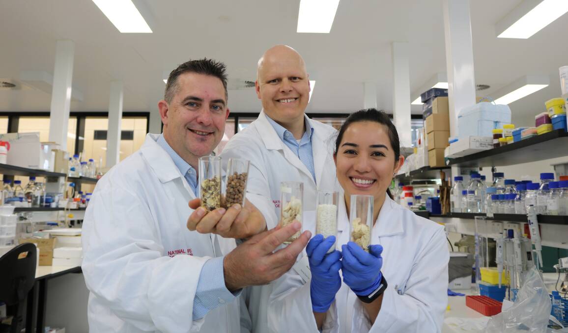 IN THE LAB: Professor Chris Blanchard with PhD students Stephen Cork and Michelle Toutounji.