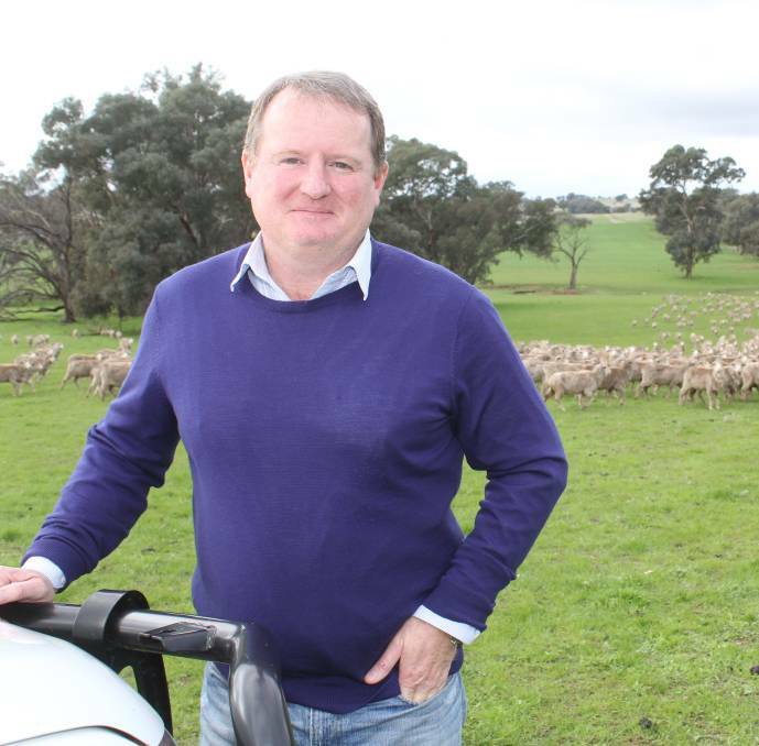 INDUSTRY LEADERS: Paul Cocking of "Kaoona", Mangoplah pictured with some mixed age Merino ewes. Picture: Nikki Reynolds 