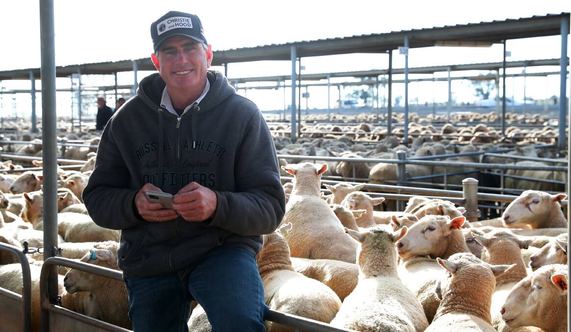 LOOKING BACK: A file image of lamb buyer Brendan Halden at the Wagga sheep and lamb market. Picture: Emma Hillier