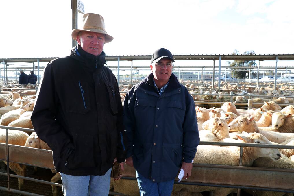 MEET THE MARKET: A file image of Anthony Cummins from Wagga and Anthony Clarke from Goulburn at the Wagga sheep and lamb sale. Picture: Emma Hillier