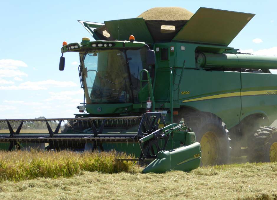 IMPORTANT HARVEST: Riverina rice farmers bring in the crop. 