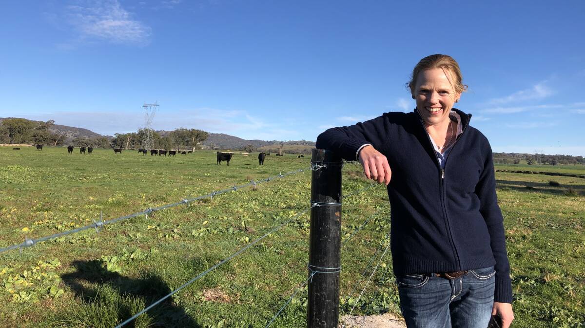 NEW ROLE: Alison Hamilton of "The Willows" near Ladysmith will take up one of the board positions on the Riverina Local Land Services. Picture: Nikki Reynolds