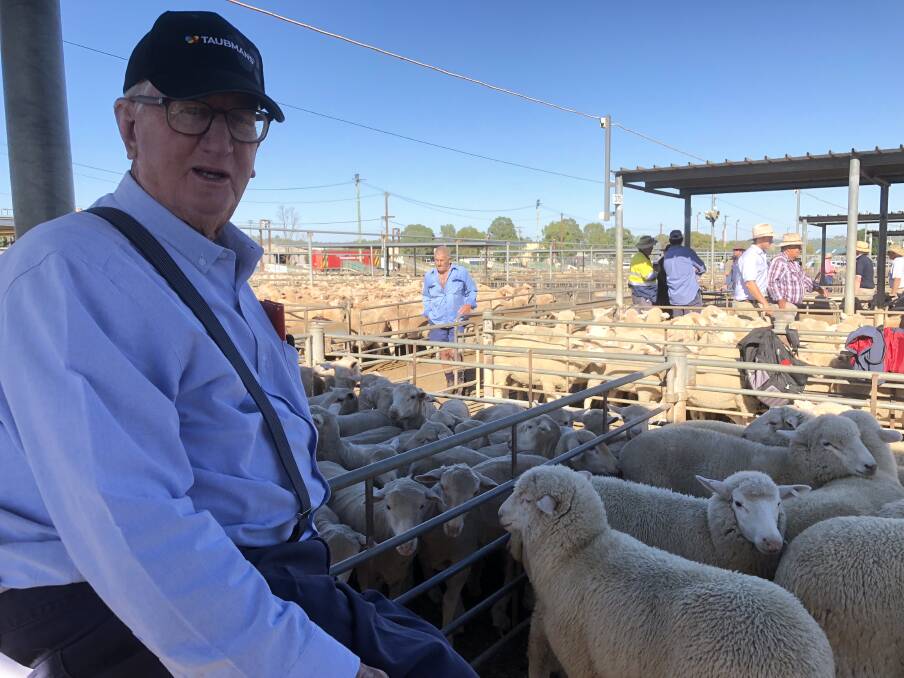 MARKET INTEREST: Geoff Wilks of Wagga is pictured at the Wagga sheep and lamb market on Thursday. Picture: Nikki Reynolds 