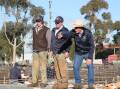 TAKING THE BIDS: A file image from Griffith sheep and lamb market. 