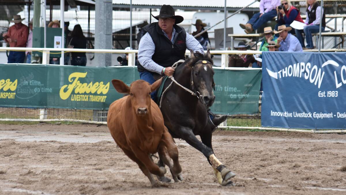 TOP PERFORMER: Campdraft competitor Simon Dodwell of Bethungra guides his stallion Wallabah Excel to success and wins the Barnes Trophy at Warwick. Picture: Katie Rutledge 