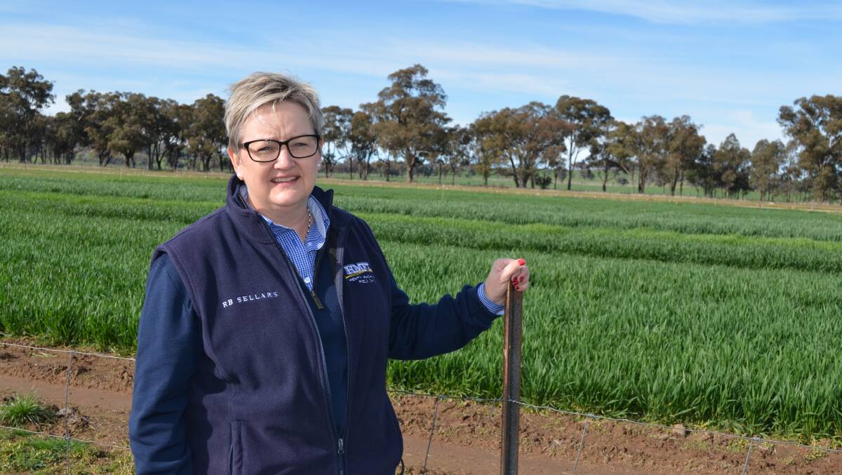UNFORTUNATE: Henty Machinery Field Days chief executive officer Belinda Anderson inspects the trial plots after the much-needed rain. Picture: Nikki Reynolds 