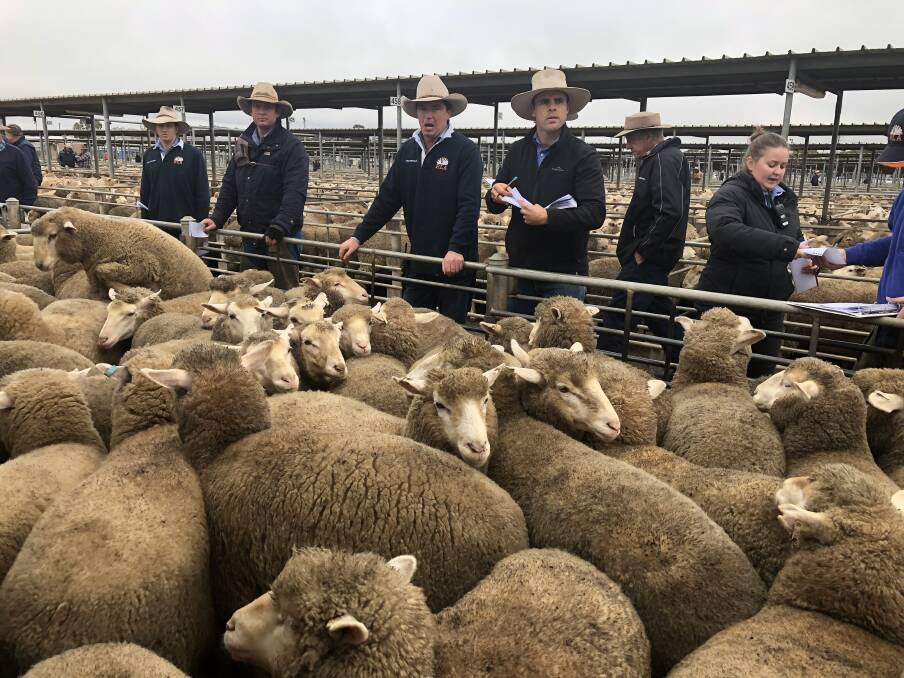 THE HAMMER FALLS: The team from Riverina Livestock Agents take the bids at Wagga sheep and lamb sale. Picture: Nikki Reynolds 