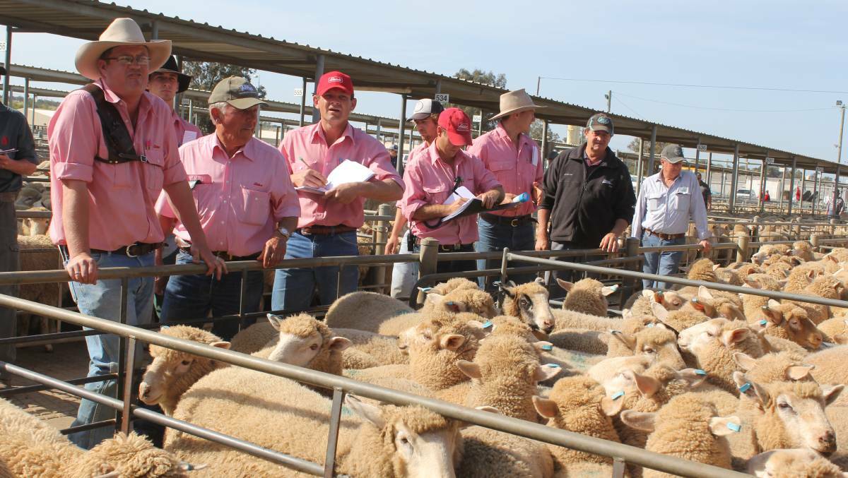 TAKING THE BIDS: The team from Elders Wagga are at the rail during the Wagga sheep and lamb sale. Picture: Nikki Reynolds 
