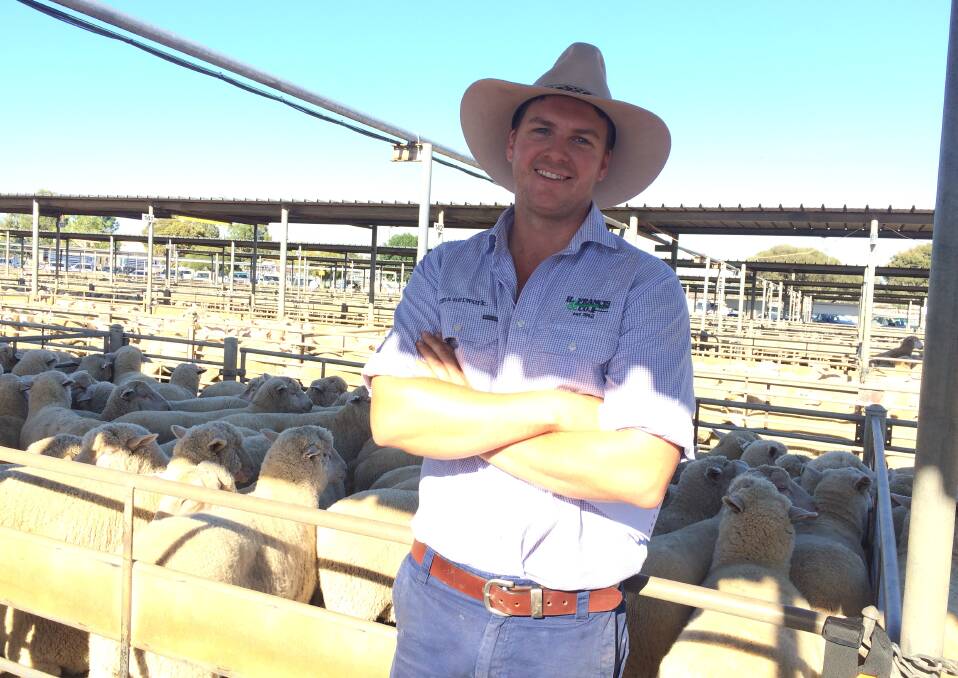 AWARENESS: Matt Hawker of H Francis is looking forward to the Australia Day prelude shearing event in Wagga. Picture: Nikki Reynolds 