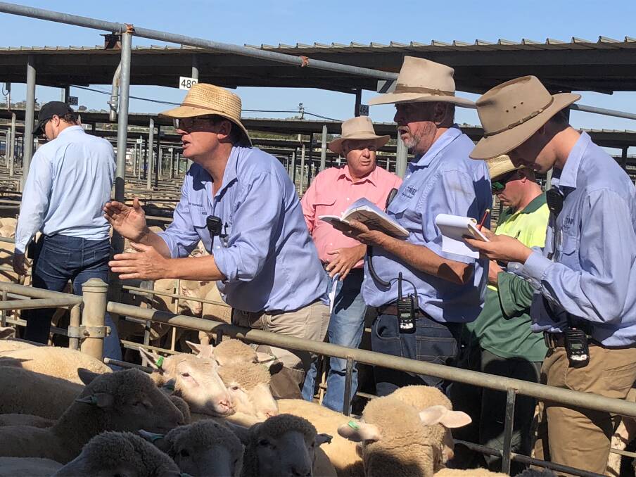 FILE IMAGE: The team from WRL take the bids at Wagga sheep and lamb sale. 