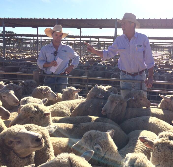 MEET THE MARKET: Alex Croker and Tim Francis of H Francis and Co, Wagga are at the rail during the Wagga sheep and lamb sale on Thursday. Picture: Nikki Reynolds 