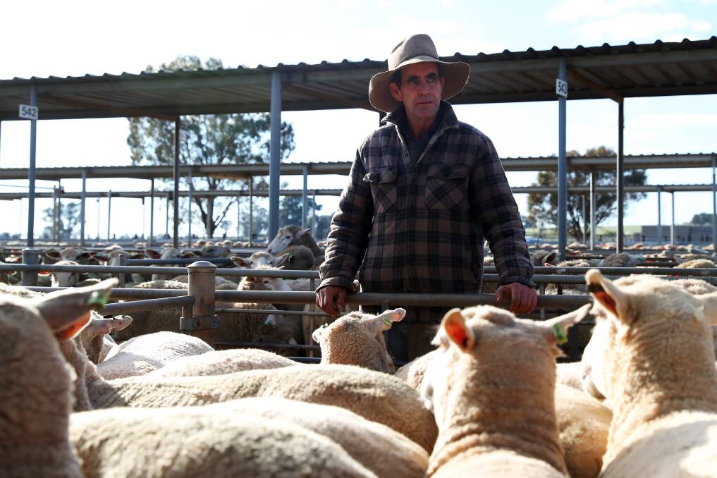 REGULAR FACE: Kevin Hopkins is at Wagga sheep and lamb market. Picture: Emma Hillier
