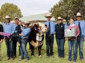 SUCCESS: Most successful exhibitor of the 2022 Herefords National Show was Mawarra Gentics. From left Nick Farley, Nutrien Ag Solutions, Logan Sykes, Hayden Brunt, Taylah Brunt holding Carter Sykes, grand champion bull Mawarra Ultra Sar R182 held by Brandon Sykes, Brittany Sykes, Deanne and Peter Sykes.