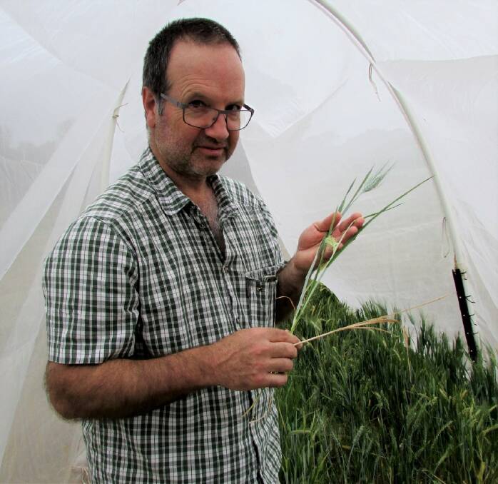 NEW STANCE: SARDI entomologist Maarten van Helden features in a new GRDC podcast. Picture: Supplied
