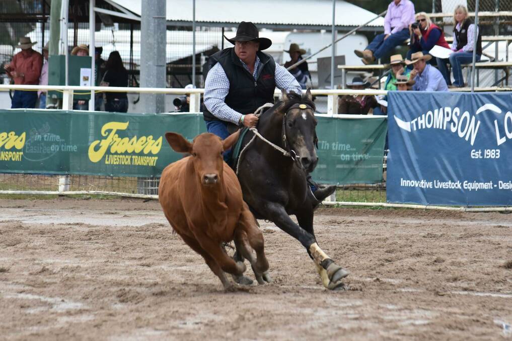 IN FORM: SImon Dodwell of Bethungra is a in a good position after scoring 89 points in the first round of Warwick Gold Cup Campdraft. 