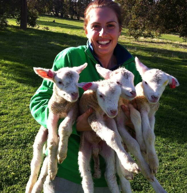 BUNDLE OF JOY: Elise Bowen of Sheep Data Management, Tarcutta. Picture: Supplied