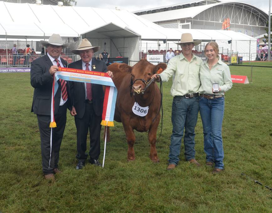 ACHIEVEMENT: Andrew Talbot, Michael Millner, Jacob Kerrisk and Caitlin Rodham with the champion steer. 