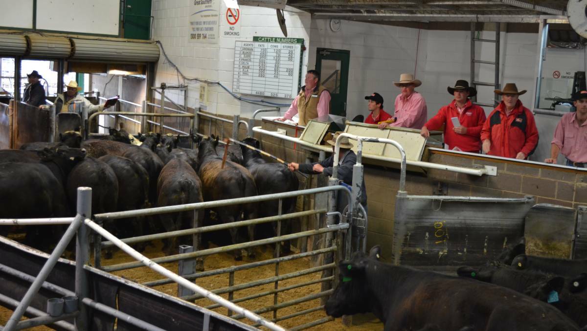 TEAM WORK: Livestock agents and auctioneers from Elders Wagga are at the rail during the cattle sale. Picture: Nikki Reynolds 
