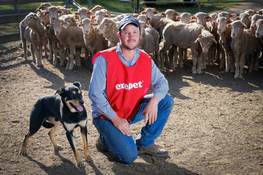 TOP RESULTS: Jake Nowlan, of Grenfell, was a first time winner of the yard dog championship at Henty with Amos Zone.