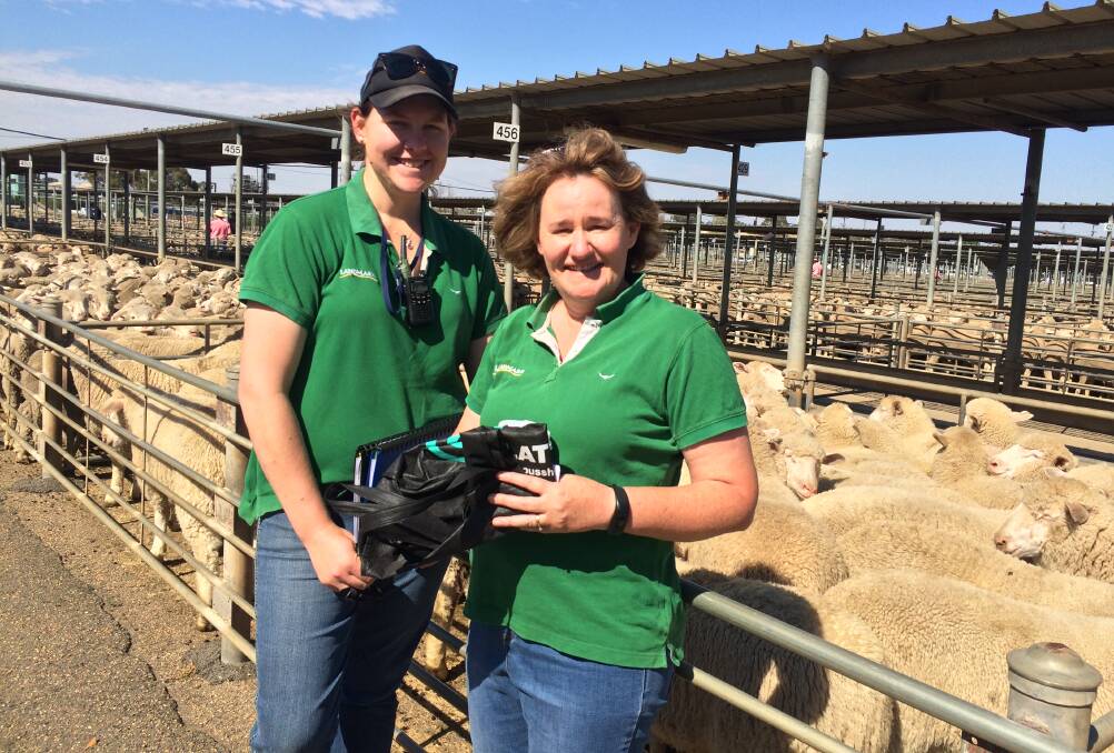 RESULTS FLOW: Karney Chester and Fiona Willis of Landmark Wagga are pictured with a pen of lambs that sold on account of an Albury vendor for $181.20. Picture: Nikki Reynolds