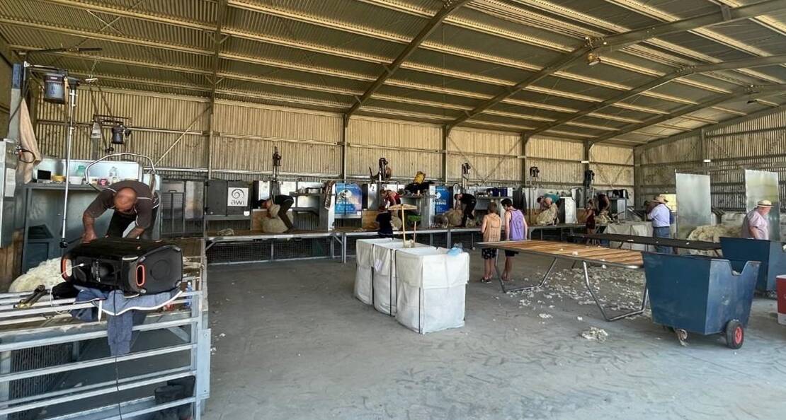 A hay shed was converted into an emergency shearing shed at Banyandah after flooding across the Riverina late last year. Picture from AWI.