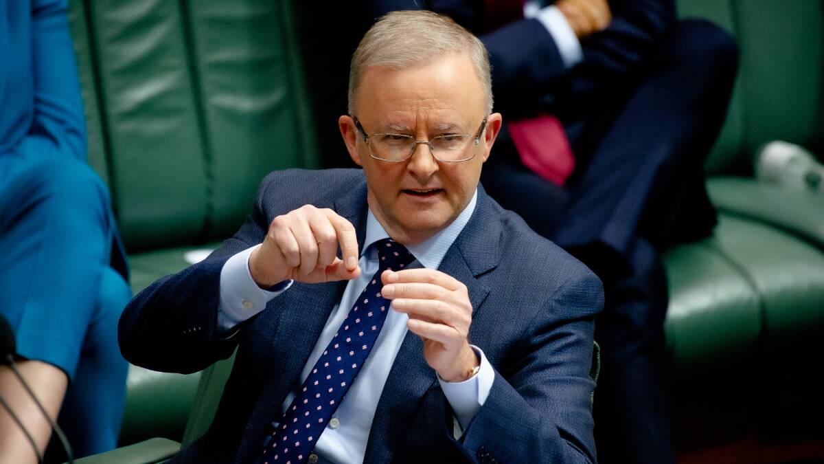 Prime Minister Anthony Albanese. Picture by Elesa Kurtz