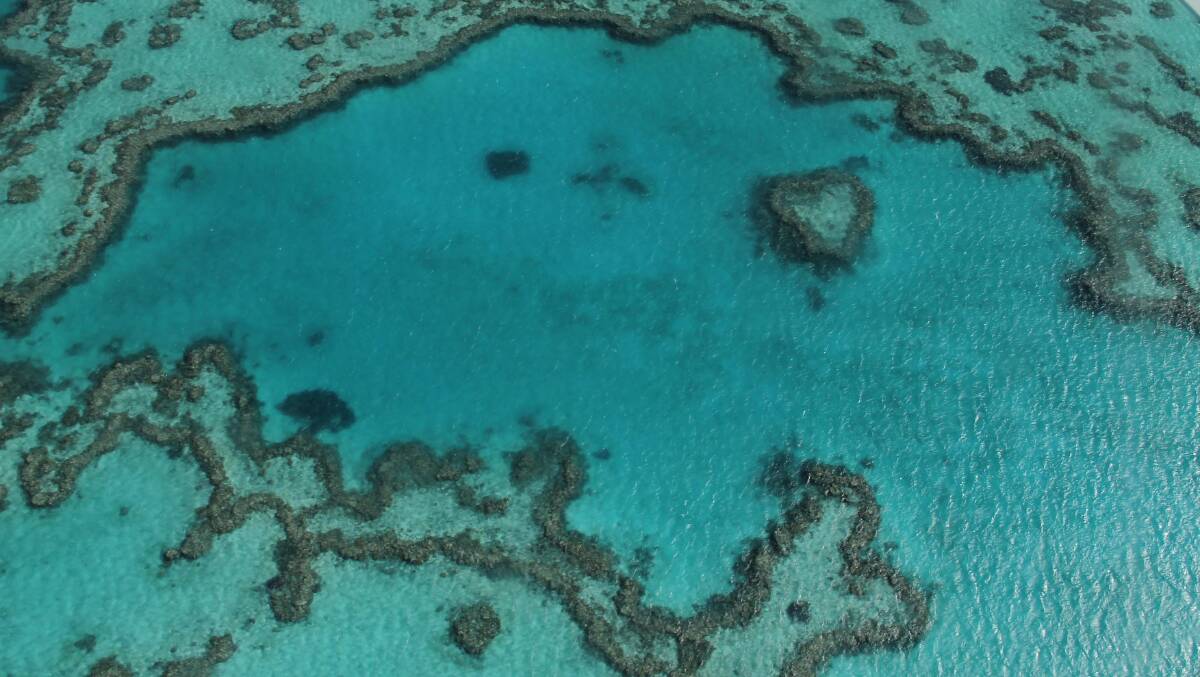 A highlight of flying over the Great Barrier Reef … it’s easy to see why Heart Reef got its name. 