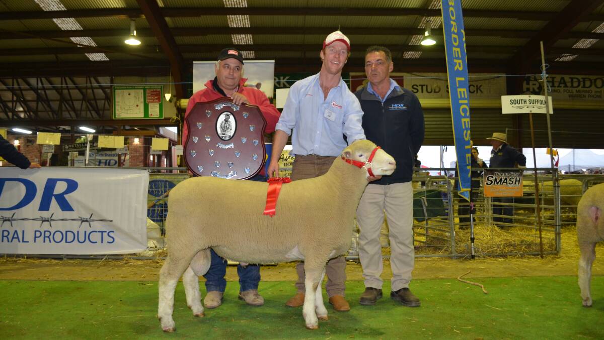 James Gilmore, Tattykeel Poll Dorsets, Oberon, holds the stud's interbreed champion ram with representatives from sponsors, Elders and HDR Rural products.