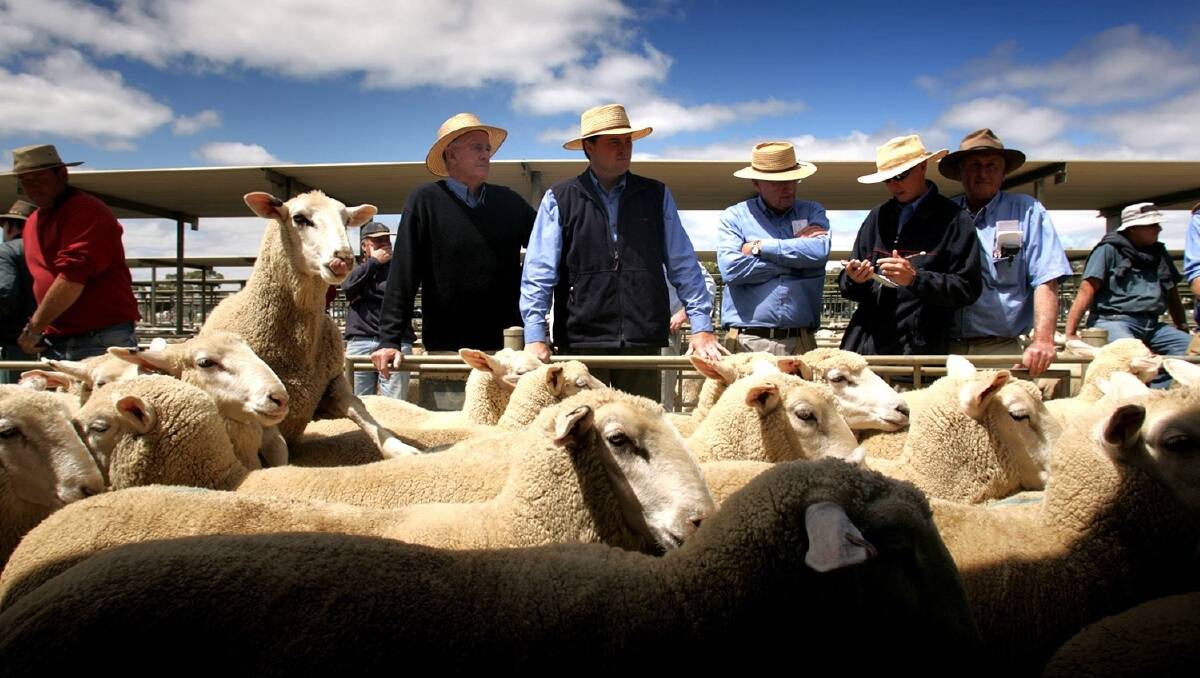 The lamb industry has entered a new data-era as major investments into data collection by JBS Australia leads to greater analysis of compliance for producers, buyers and processors. 
