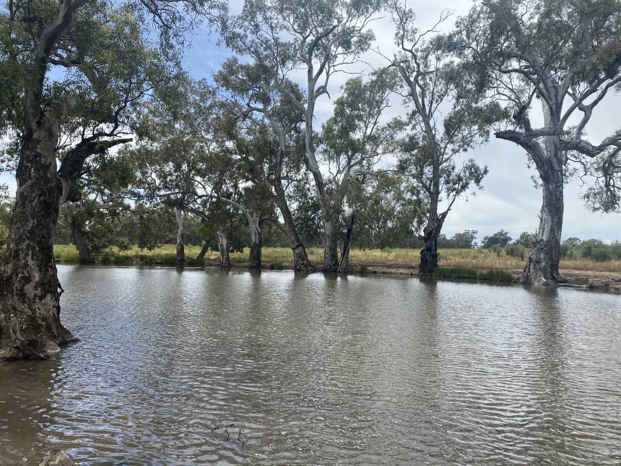 Well watered: The property has nine surface dams and access to the seasonal Mundawaddery Creek, which offers deep waterholes and provides excellent water for livestock.