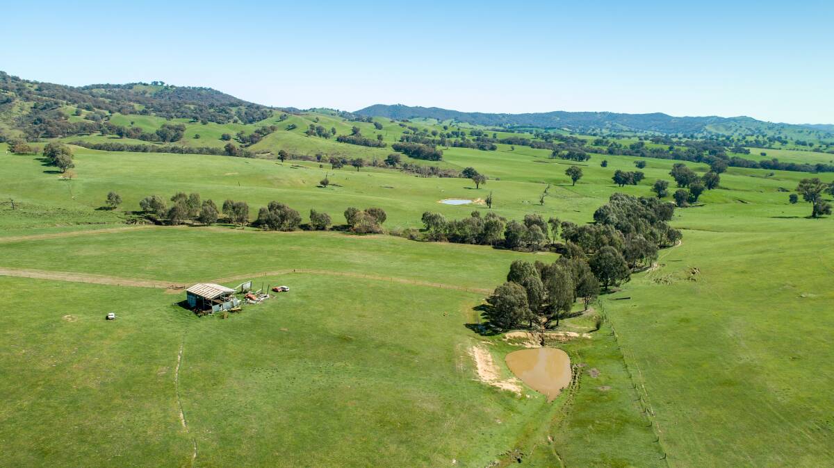 GOOD FARMING: The land is open undulating, rising to timbered hills at 600m. Timber native the property includes yellow, red and apple box, and red stringy bark.