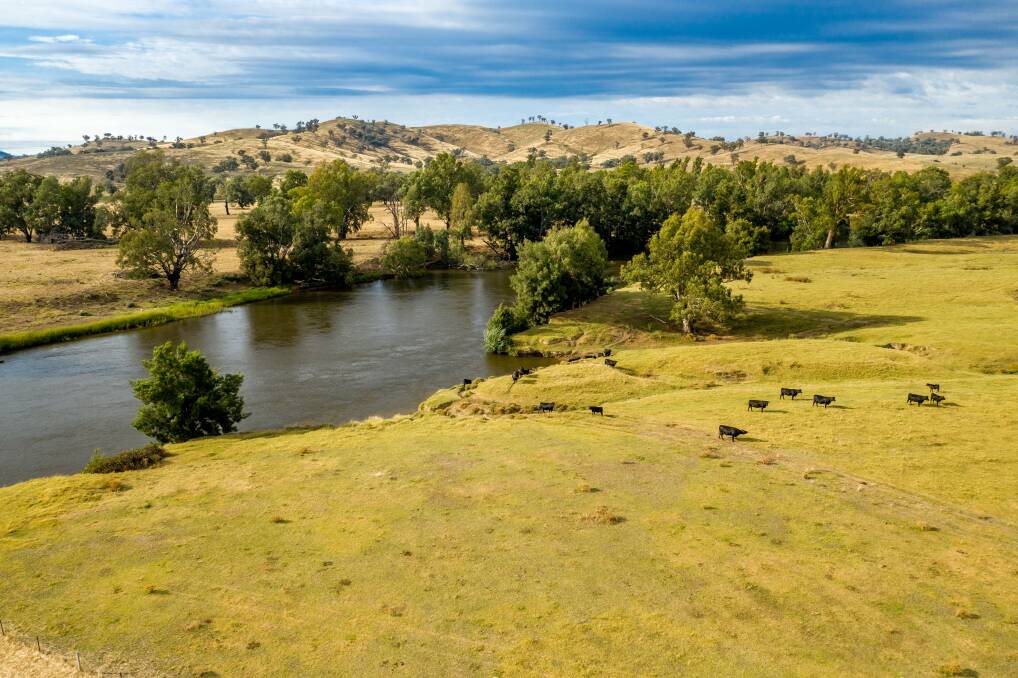 PRIME PRODUCTION: With its Murrumbidgee River frontage and fertile lands, livestock producers are sure to snap up "Whiteofmorn" after 53 years in the hands of one family.
