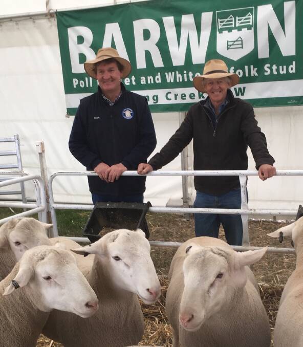 BARWON Stud principal Mark Yates (left) with long-time client Dugald McKay, inspecting rams at the Henty Machinery Field Days in September.