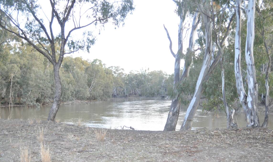 WITH 2km of Murrumbidgee River frontage and established grazing credentials, "Riverdale" presents a great opportunity.