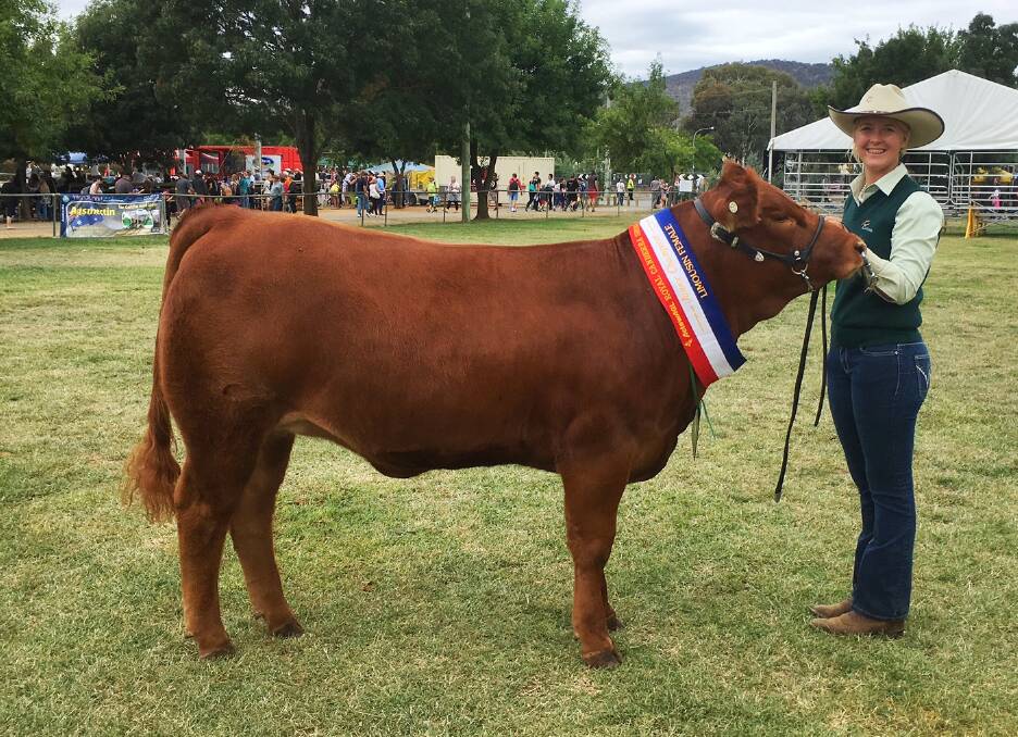 LAUREN Moody with Birubi Lillyann at Royal Canberra. Lauren was recently announced as an ambassador for the Limousin Youth.