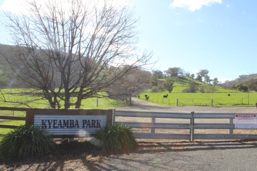 DELIGHTFUL: "Kyeamba Park" would be a great, larger family lifestyle property that remains an easy drive from Wagga.