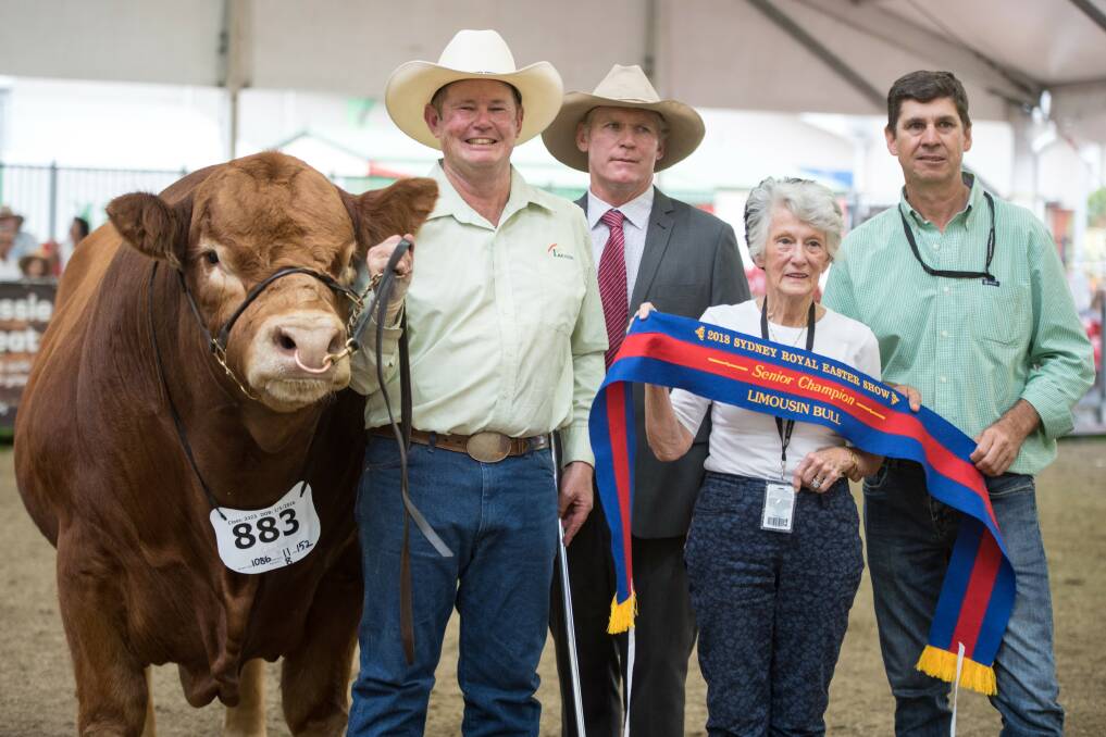Lot 254: Birubi Maxyield M70 was named Supreme Limousin exhibit at this year’s Sydney Royal, with Birubi manager Glenn Trout, judge Ivan Price, owner Annette Tynan and Pat Ryan.