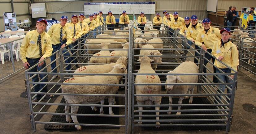 LEARNING ENVIRONMENT: Yanco Agricultural High School students are involved in all facets of the stud, from day-to-day management to auctioning.