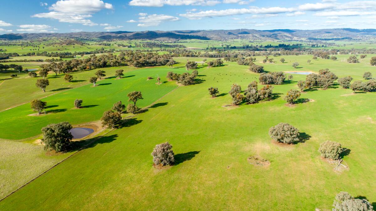 “LONE Pine” offers a balance of protected grazing and cultivation country with creek flats ideal to be sown to high performance pastures and fodder production.
