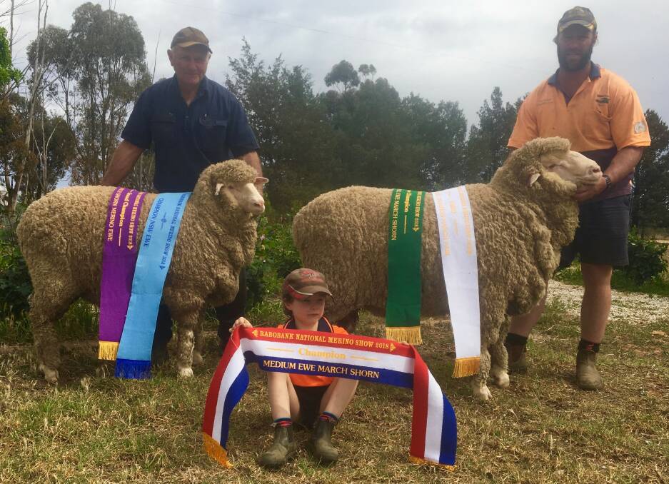 CHAMPIONS: The sash-winning stock from the 2018 Dubbo National Merino Sheep Show produced by Austral-Eden Merino and Poll Merino Stud.
