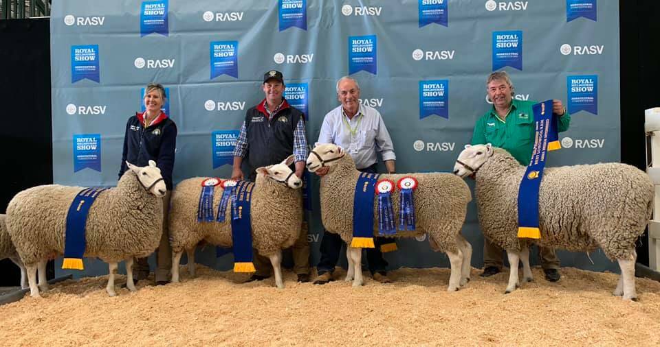 Four Border Leicester studs also produced a clean sweep at the ASSBA Interbreed. Bauers won ewe under 1.5 in the wool, ewe under 1.5 shorn and group of four.