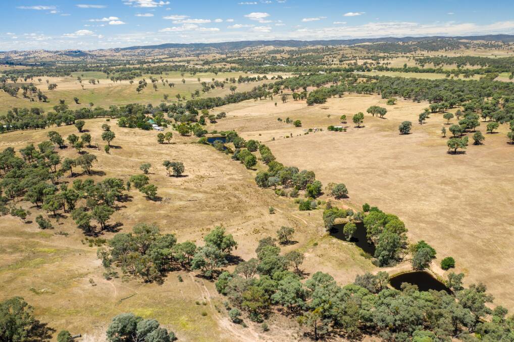 OUTLOOK: Predominantly undulating grazing country and previously running 200 ewes, "Braeside" is fenced into six paddocks, with seven dams.