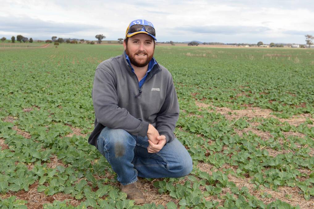 AN APPLICATION of lime prior to the canola phase in the cropping rotation has reaped dividends for Tristrum Rodham of Uranquinty, NSW.