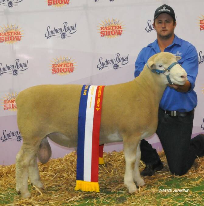 STUD co-principal Dane Rowley with Springwaters 66-16 “Pocock”, which was named Supreme Exhibit at Sydney Royal.